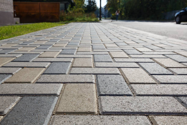 Best Driveway Paving Contractor  in Delmar, MD