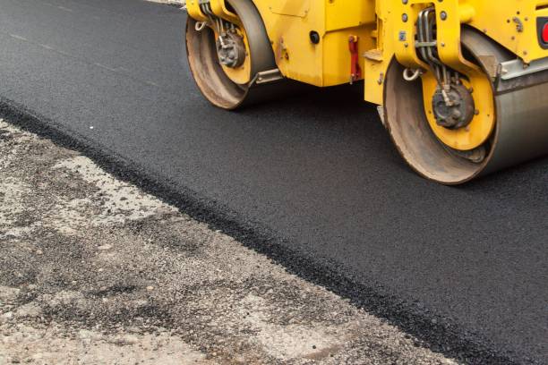 Best Local Driveway Pavers  in Delmar, MD